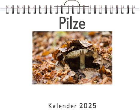 Lina Weber: Pilze, Kalender