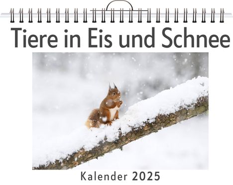 Lina Klein: Tiere in Eis und Schnee, Kalender