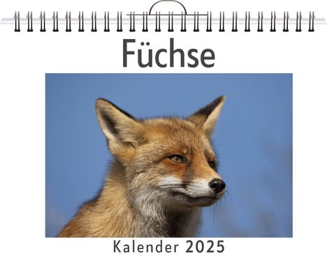 Emilia Peters: Füchse, Kalender