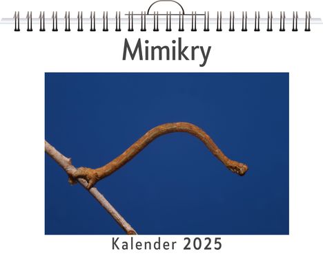 Charlotte Klein: Mimikry, Kalender