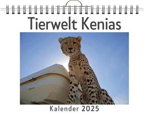 Jonas Lehmann: Tierwelt Kenias, Kalender