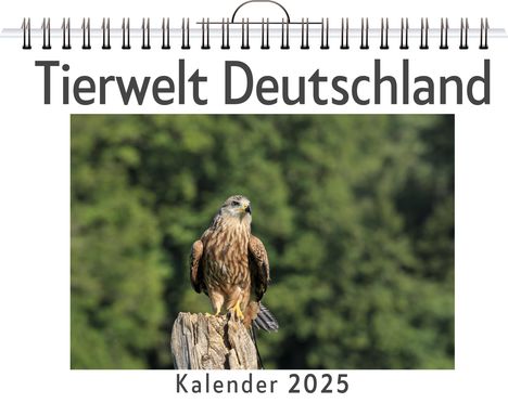 Lina Frank: Tierwelt Deutschland, Kalender