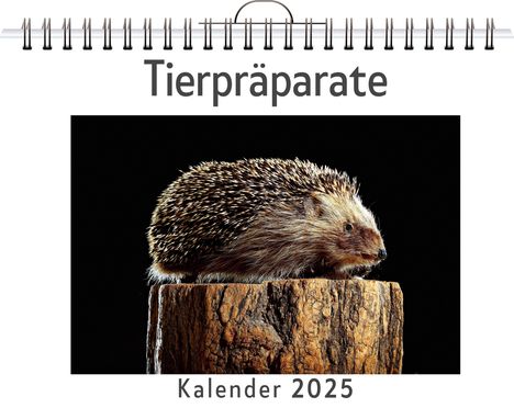 Paul Schneider: Tierpräparate, Kalender