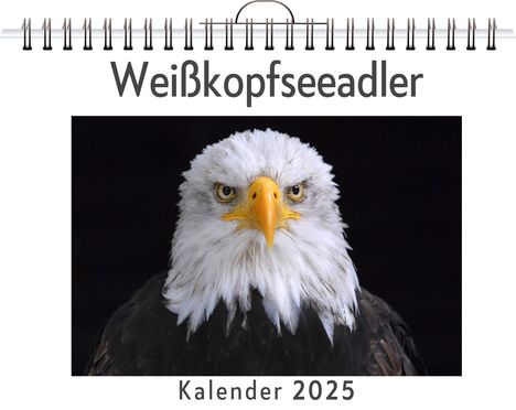 Emilia Peters: Weißkopfseeadler, Kalender