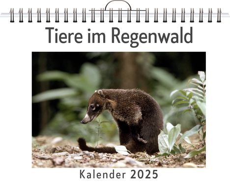 Ava Werner: Tiere im Regenwald, Kalender