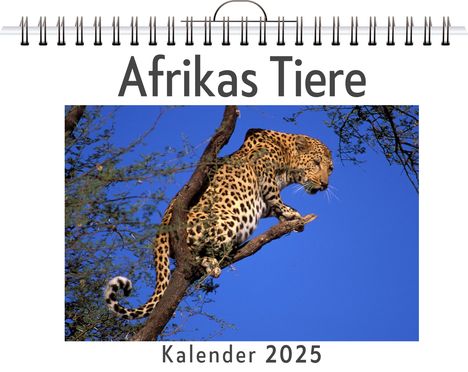 Clara Schmidt: Afrikas Tiere, Kalender