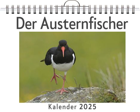 Henry König: Der Austernfischer, Kalender