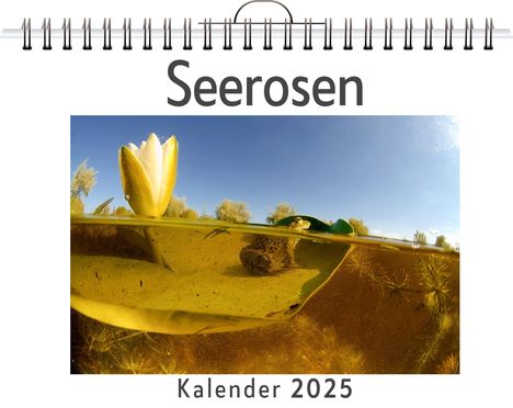 Matteo Zimmermann: Seerosen, Kalender