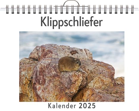 Jakob Lang: Klippschliefer, Kalender