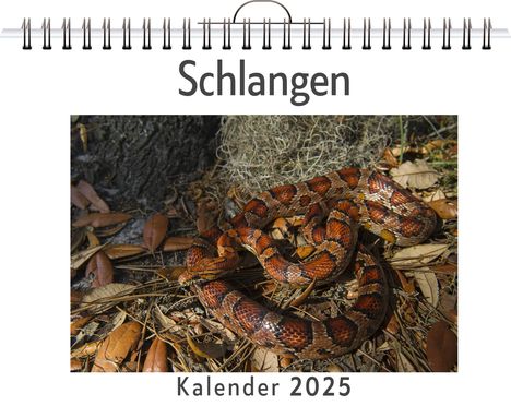 Linus Meier: Schlangen, Kalender