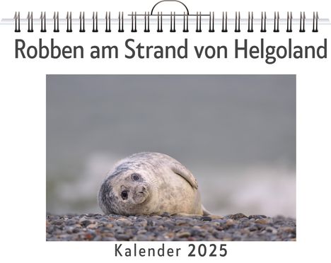 Lucy König: Robben am Strand von Helgoland, Kalender