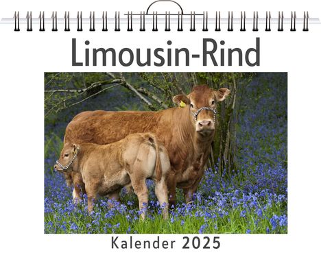 Sophia Schmidt: Limousin-Rind, Kalender