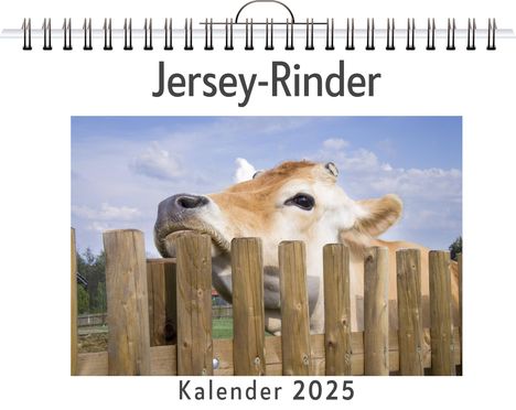 Tim Frank: Jersey-Rinder, Kalender