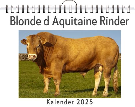 Luca Lang: Blonde d Aquitaine Rinder, Kalender