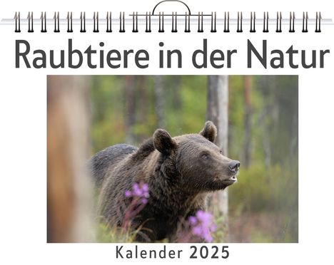 Jonah Schneider: Raubtiere in der Natur, Kalender