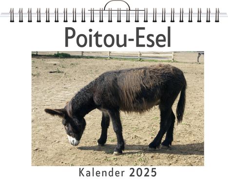 Alexander Schmitz: Poitou-Esel, Kalender