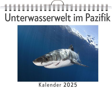 Samuel Koch: Unterwasserwelt im Pazifik, Kalender