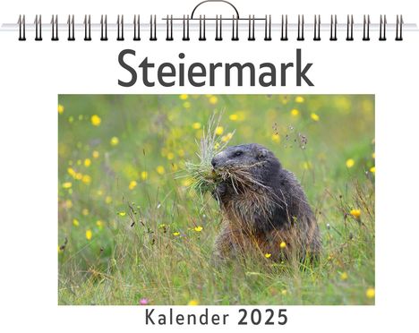 Theo Vogel: Steiermark, Kalender