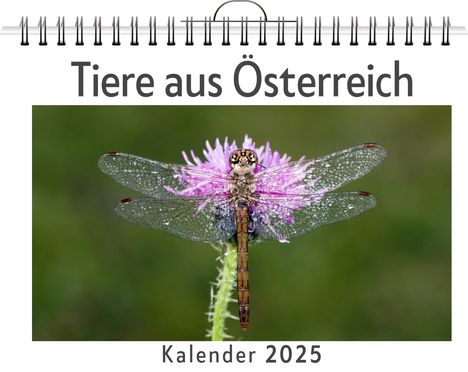 Sarah Wolf: Tiere aus Österreich, Kalender