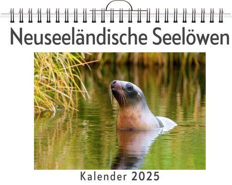 Lina Schäfer: Neuseeländische Seelöwen, Kalender