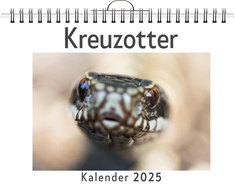 Sarah Meier: Kreuzotter, Kalender