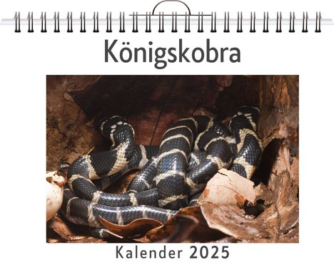 Elias Keller: Königskobra, Kalender