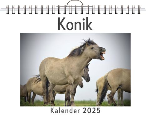 Emily Möller: Konik, Kalender