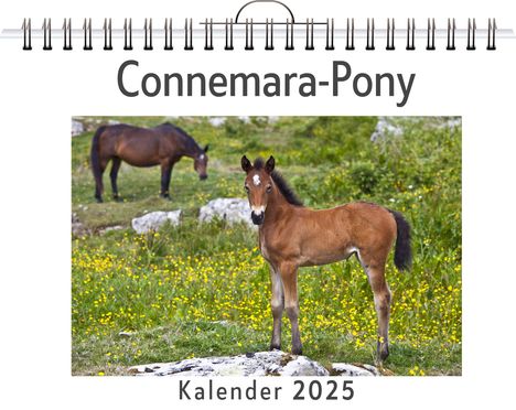 Ben Münch: Connemara-Pony, Kalender