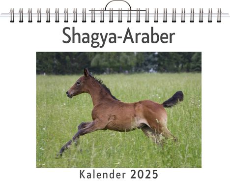 Finn Meier: Shagya-Araber, Kalender