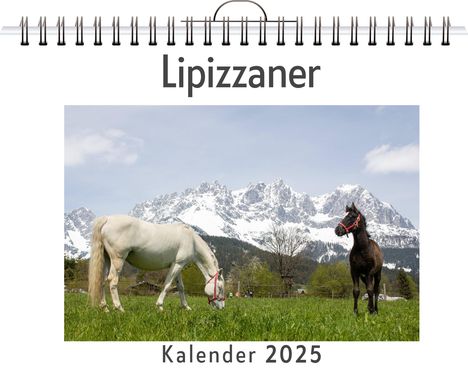 Olivia Horn: Lipizzaner, Kalender