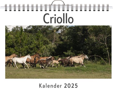 Sophia Maier: Criollo, Kalender