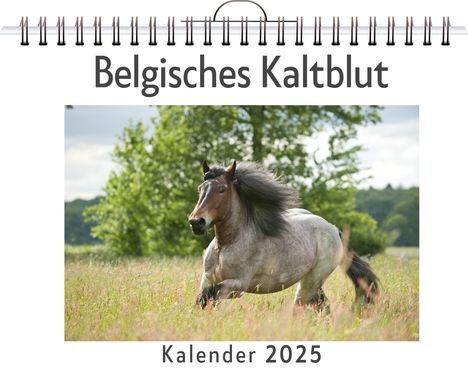 Emilia Fischer: Belgisches Kaltblut, Kalender