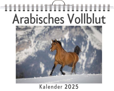 Samuel Huber: Arabisches Vollblut, Kalender