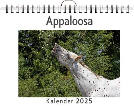 Paul Scholz: Appaloosa, Kalender