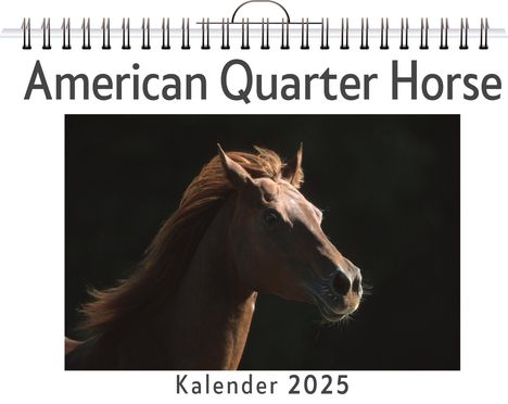 Luca Weber: American Quarter Horse, Kalender