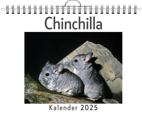 Noah Richter: Chinchilla, Kalender