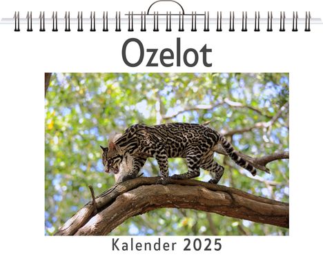 Julia Schmidt: Ozelot, Kalender