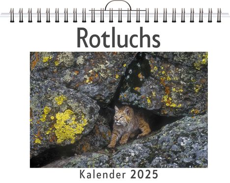 Paul Hofmann: Rotluchs, Kalender