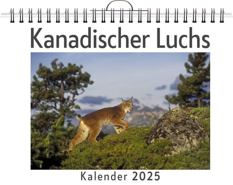 Julian Weber: Kanadischer Luchs, Kalender