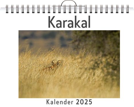 Samuel Schmitt: Karakal, Kalender