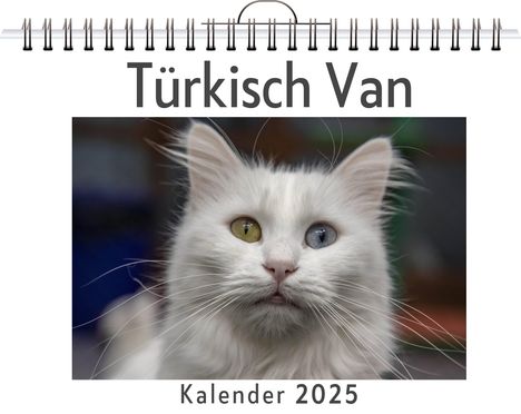 Matteo Hofmann: Türkisch Van, Kalender