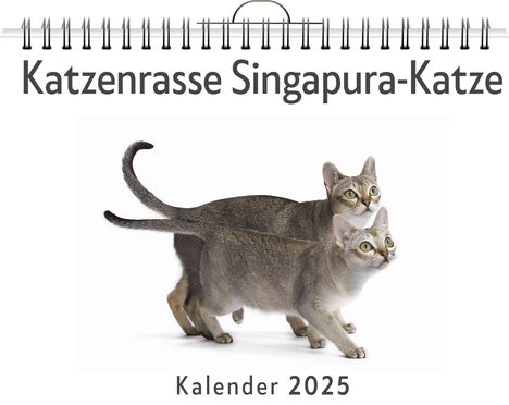 Leon Wolf: Katzenrasse Singapura-Katze, Kalender