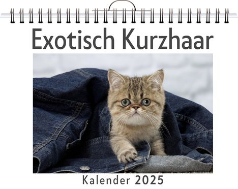 Florian Krause: Exotisch Kurzhaar, Kalender