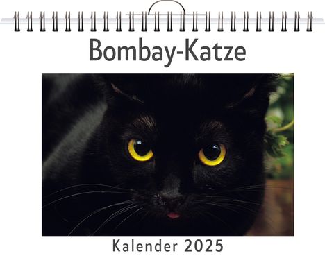 Elias Herrmann: Bombay-Katze, Kalender