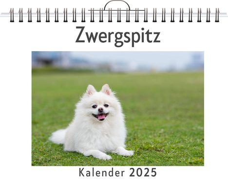 Finn Wolf: Zwergspitz, Kalender