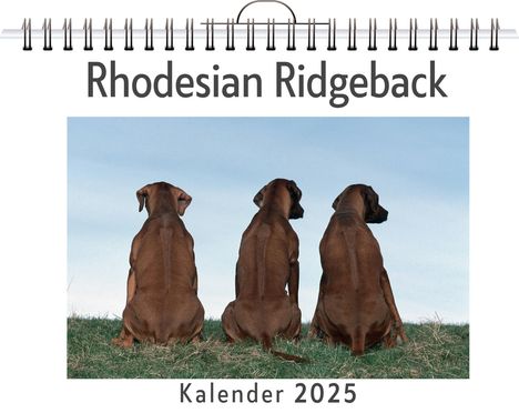 Louis Lang: Rhodesian Ridgeback, Kalender