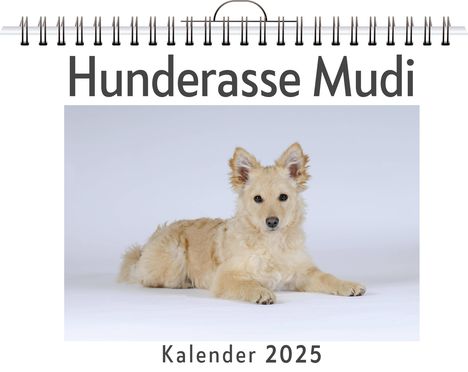 Samuel Schäfer: Hunderasse Mudi, Kalender