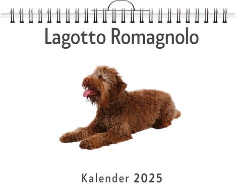 Oliver Neumann: Lagotto Romagnolo, Kalender