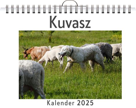 Sophia Weber: Kuvasz, Kalender