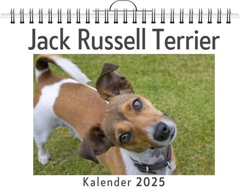 Emma Schmidt: Jack Russell Terrier, Kalender